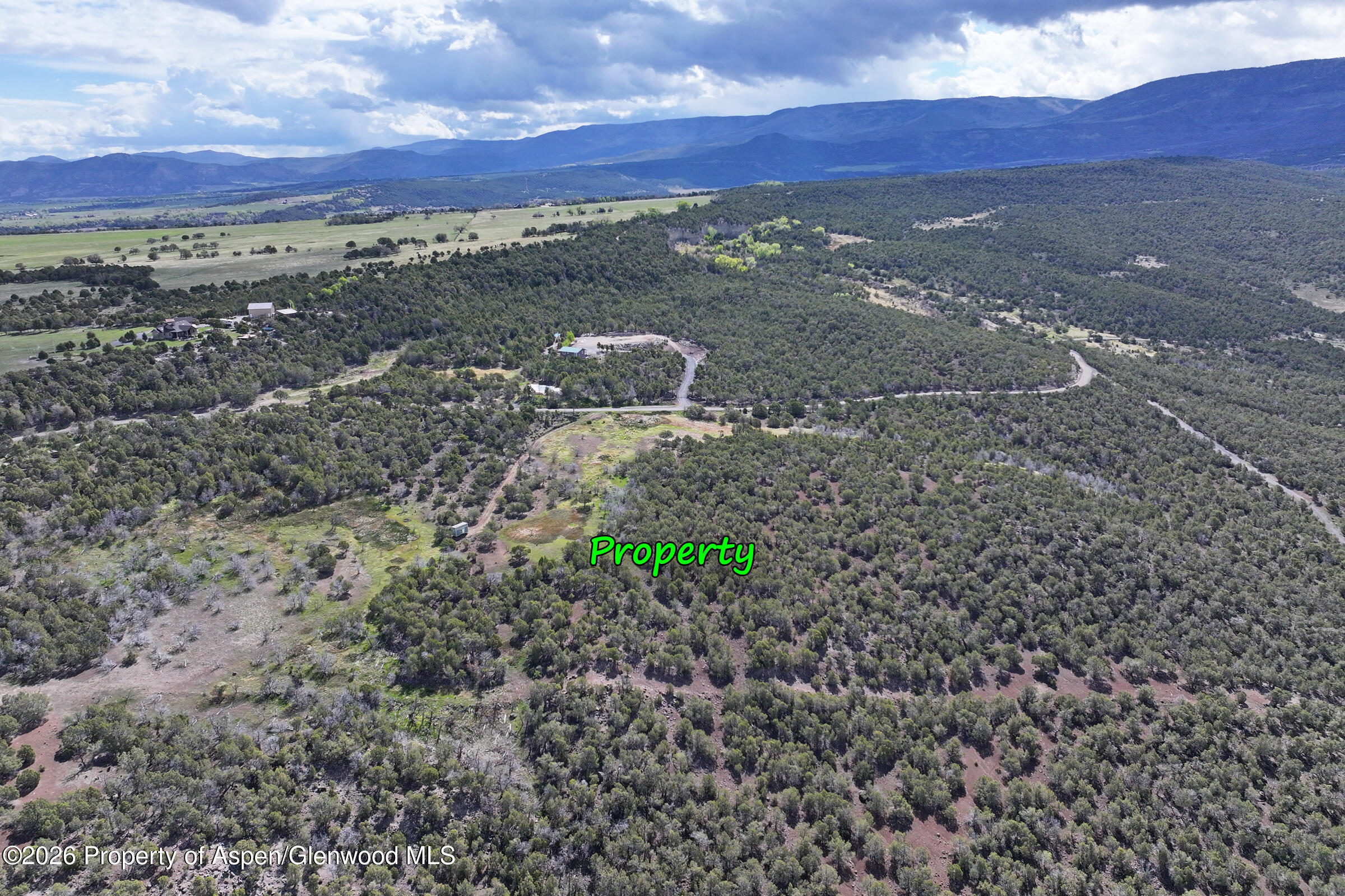12705 55 Road Collbran CO 81624