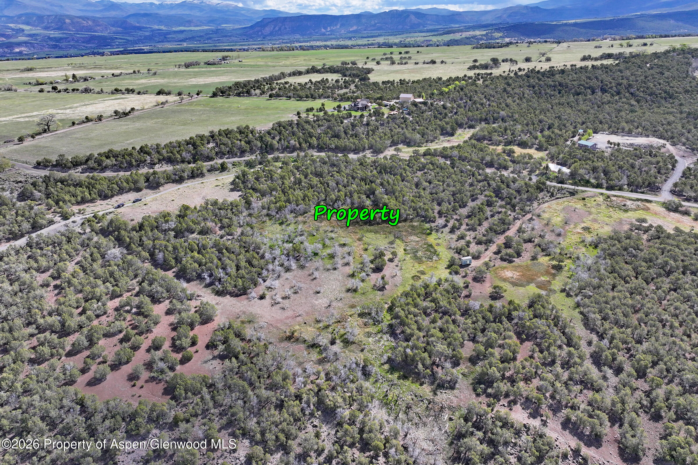 12705 55 Road Collbran CO 81624