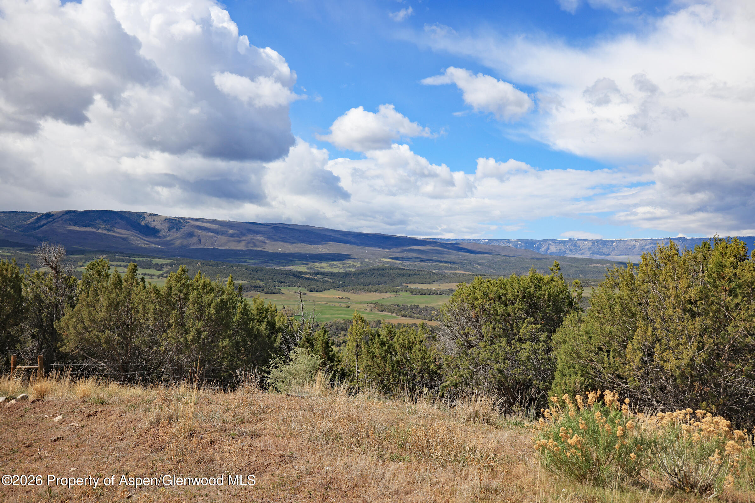 12705 55 Road Collbran CO 81624