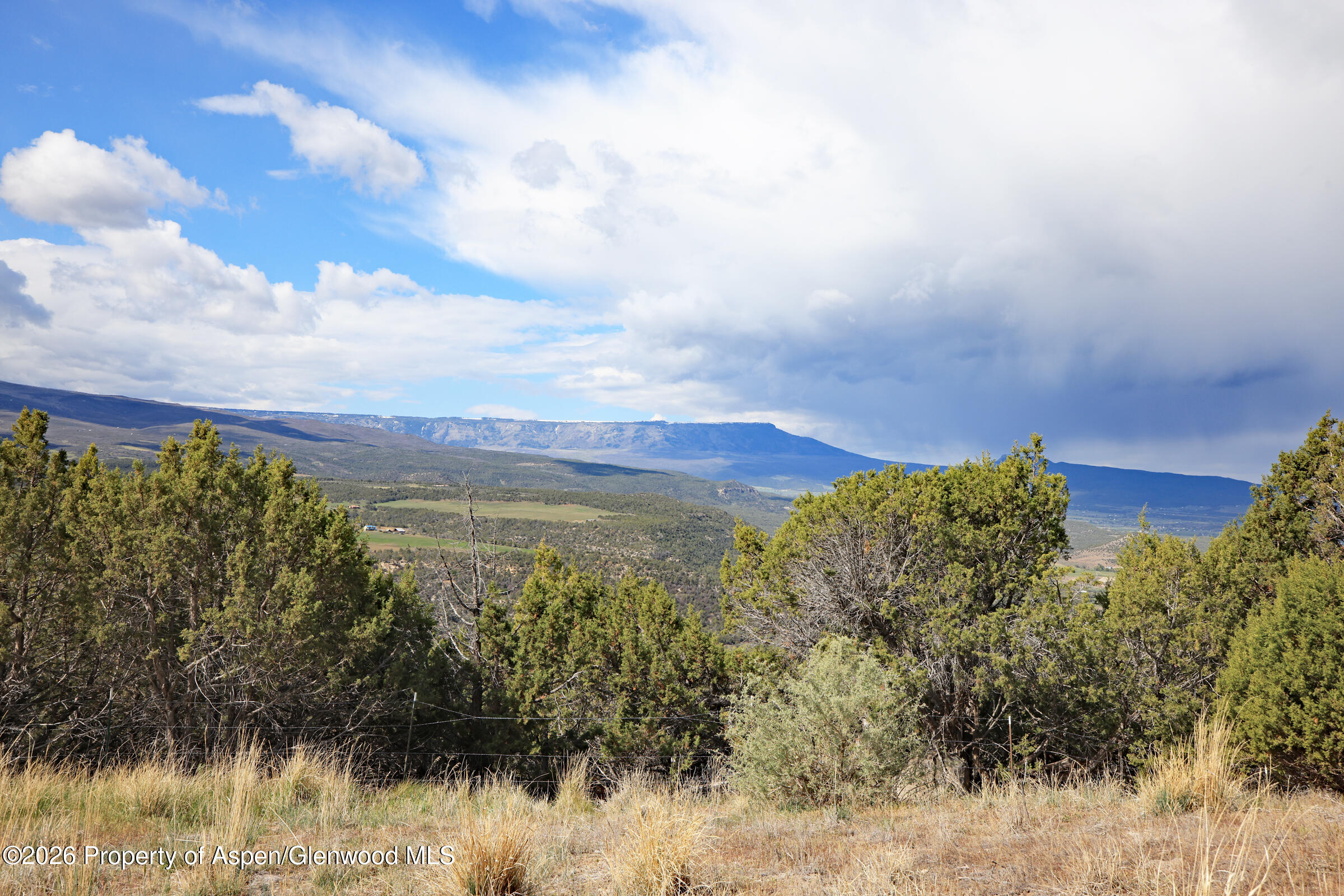 12705 55 Road Collbran CO 81624