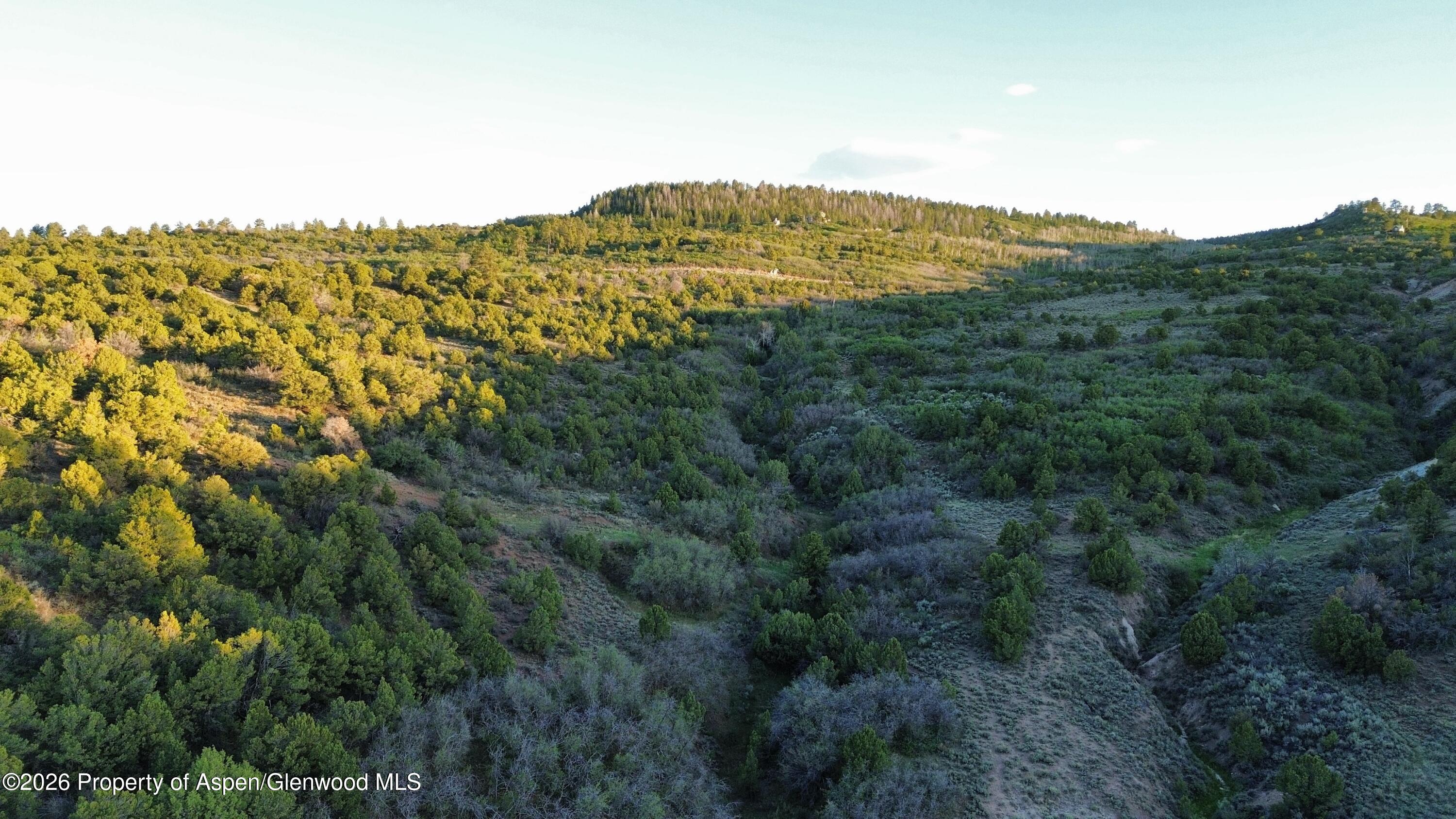 18975 Elk Rserve Road Glade Park CO 81523