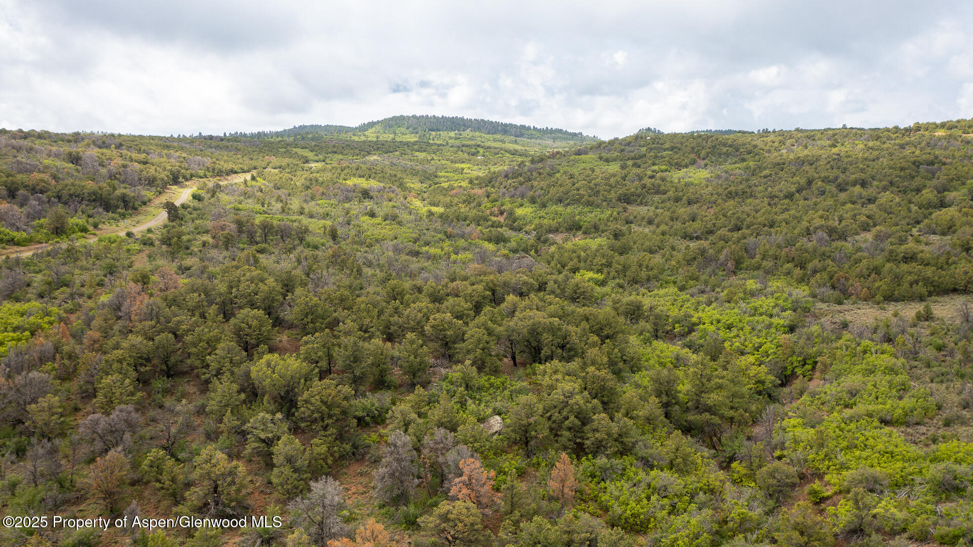 18975 Elk Rserve Road Glade Park CO 81523