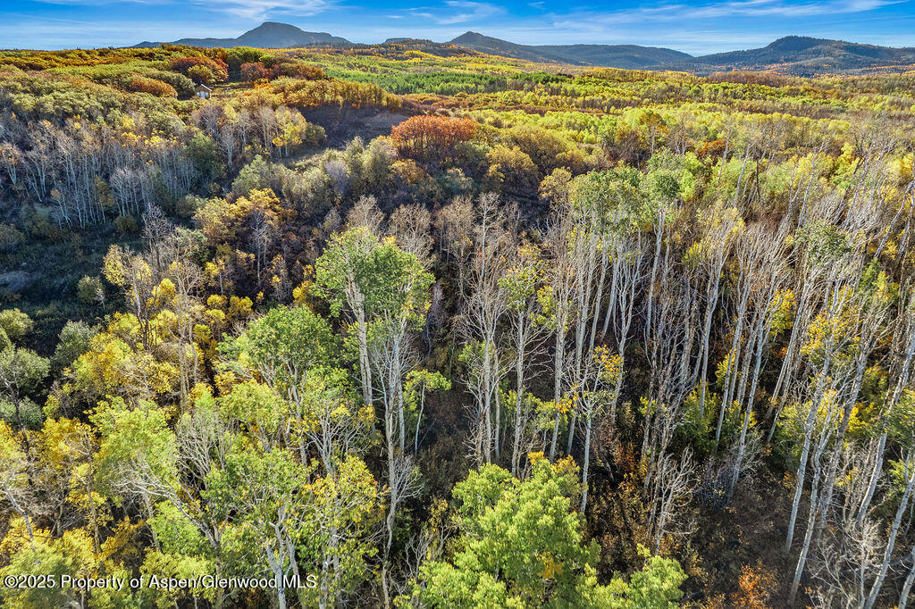 814 Fiddleneck Drive Craig CO 81625