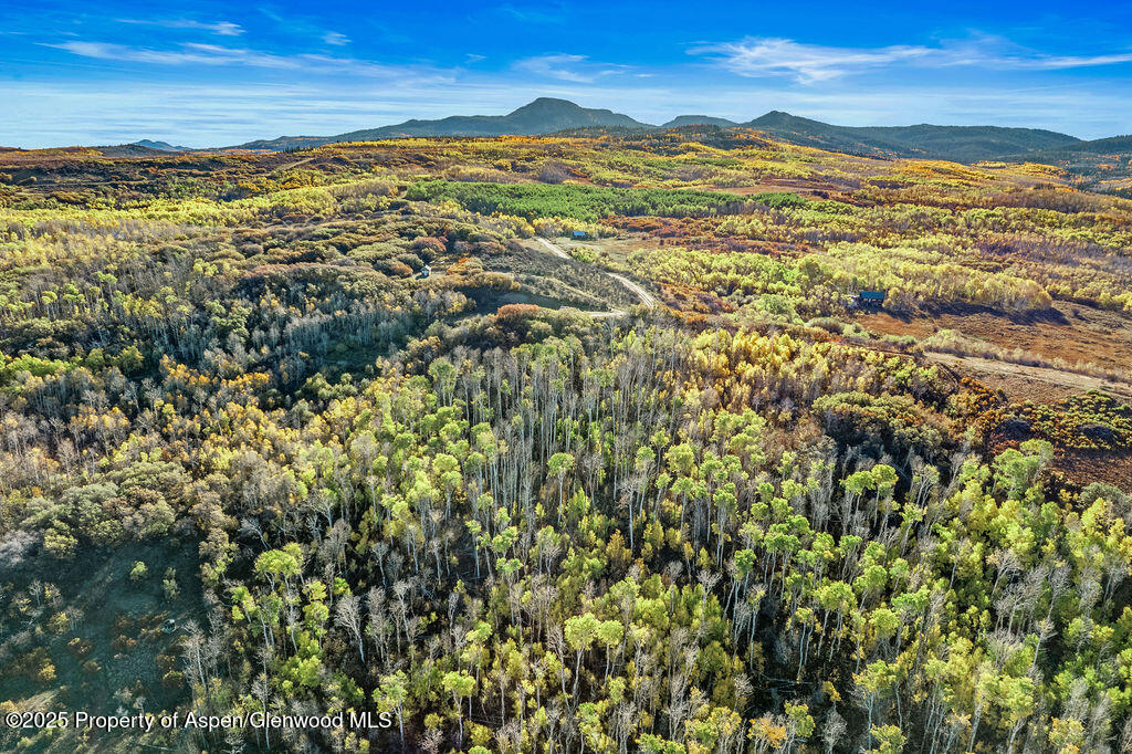 814 Fiddleneck Drive Craig CO 81625