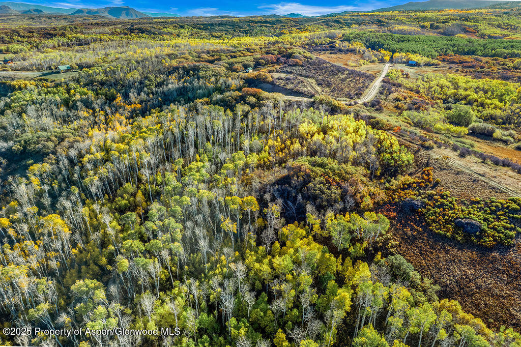 814 Fiddleneck Drive Craig CO 81625