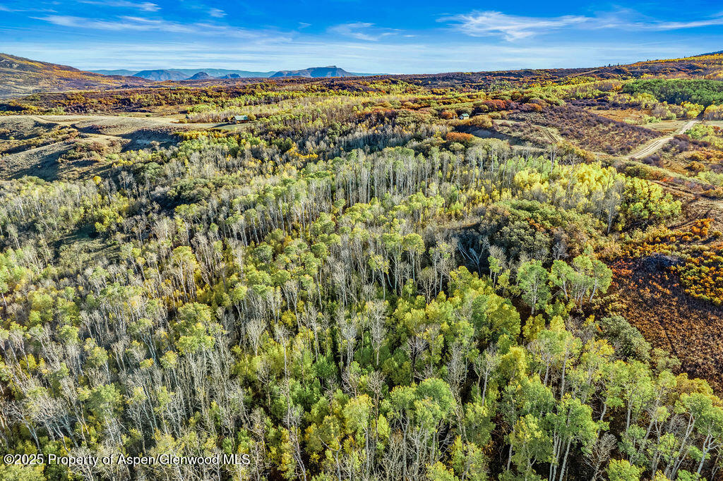 814 Fiddleneck Drive Craig CO 81625