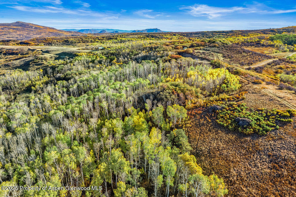 814 Fiddleneck Drive Craig CO 81625