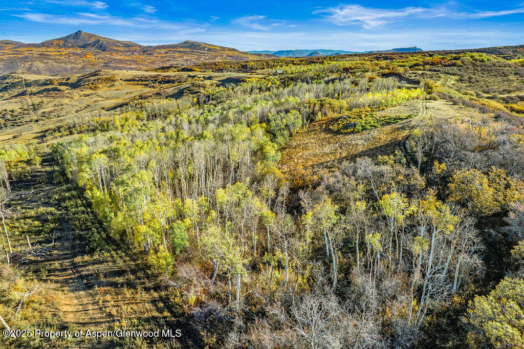 814 Fiddleneck Drive Craig CO 81625