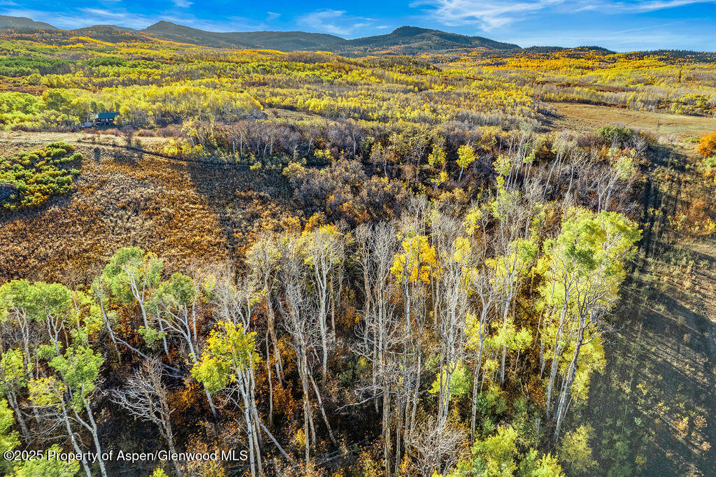 814 Fiddleneck Drive Craig CO 81625