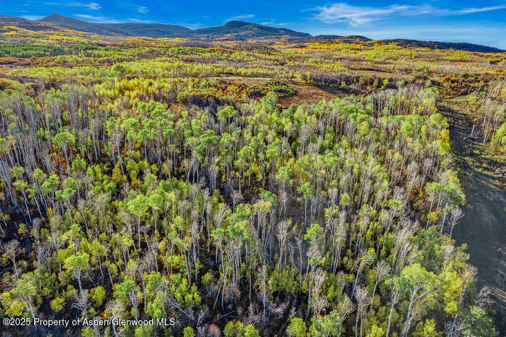 814 Fiddleneck Drive Craig CO 81625