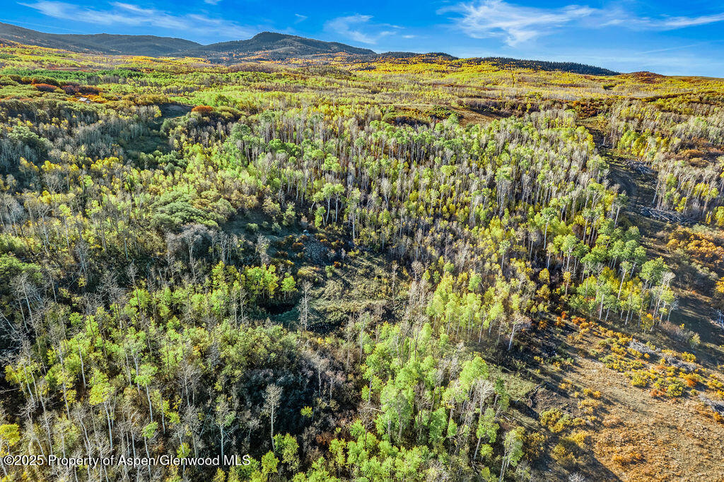 814 Fiddleneck Drive Craig CO 81625