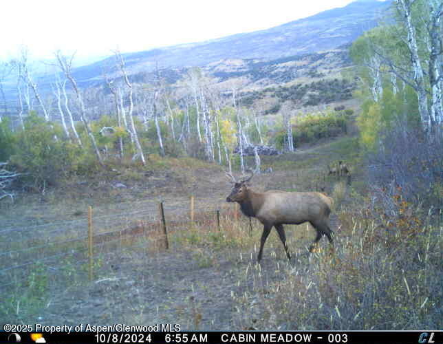 814 Fiddleneck Drive Craig CO 81625