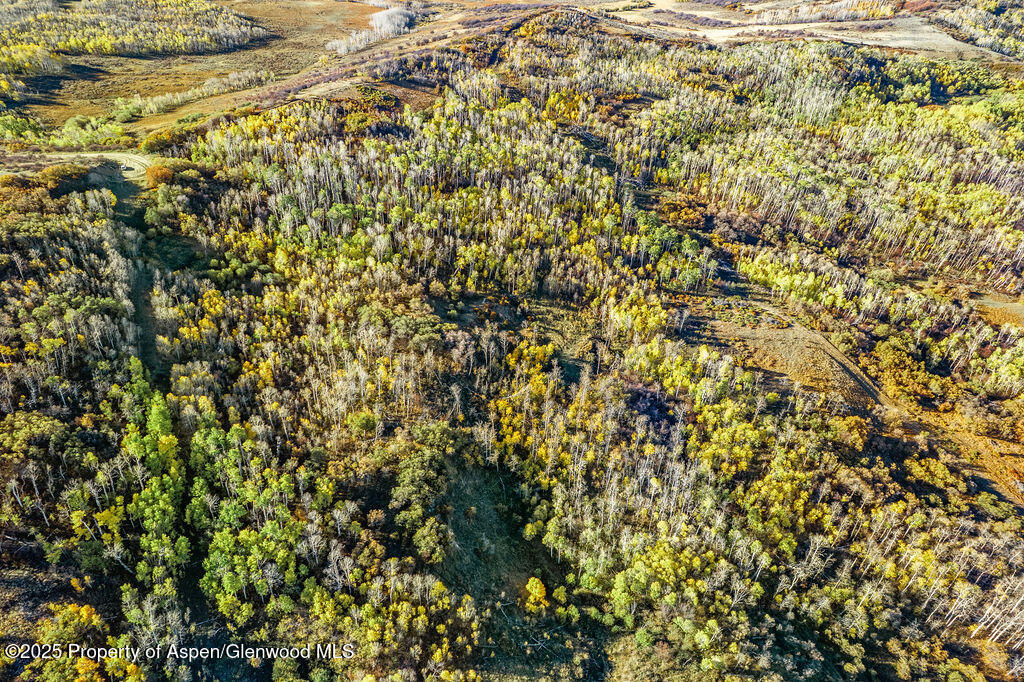 814 Fiddleneck Drive Craig CO 81625