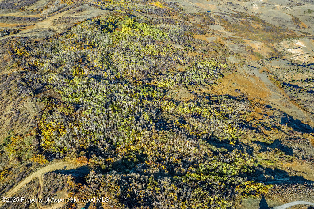 814 Fiddleneck Drive Craig CO 81625