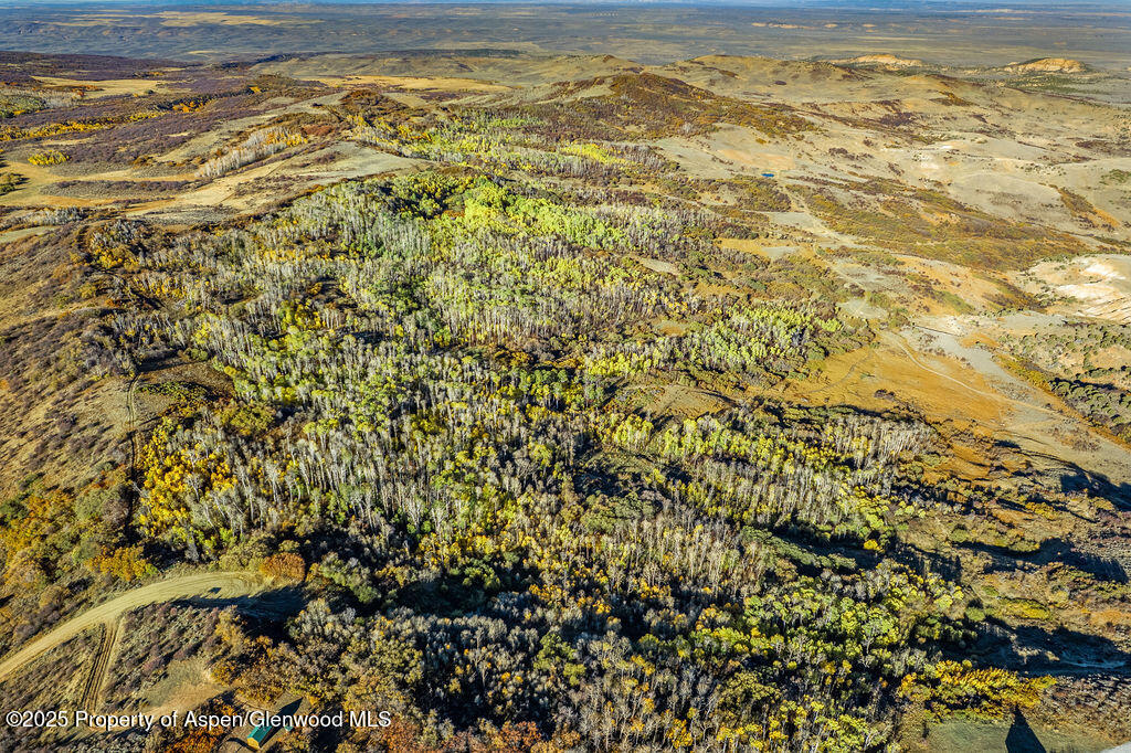 814 Fiddleneck Drive Craig CO 81625