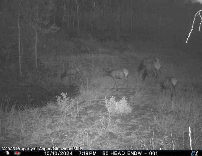 814 Fiddleneck Drive Craig CO 81625