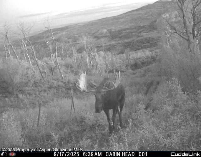 814 Fiddleneck Drive Craig CO 81625