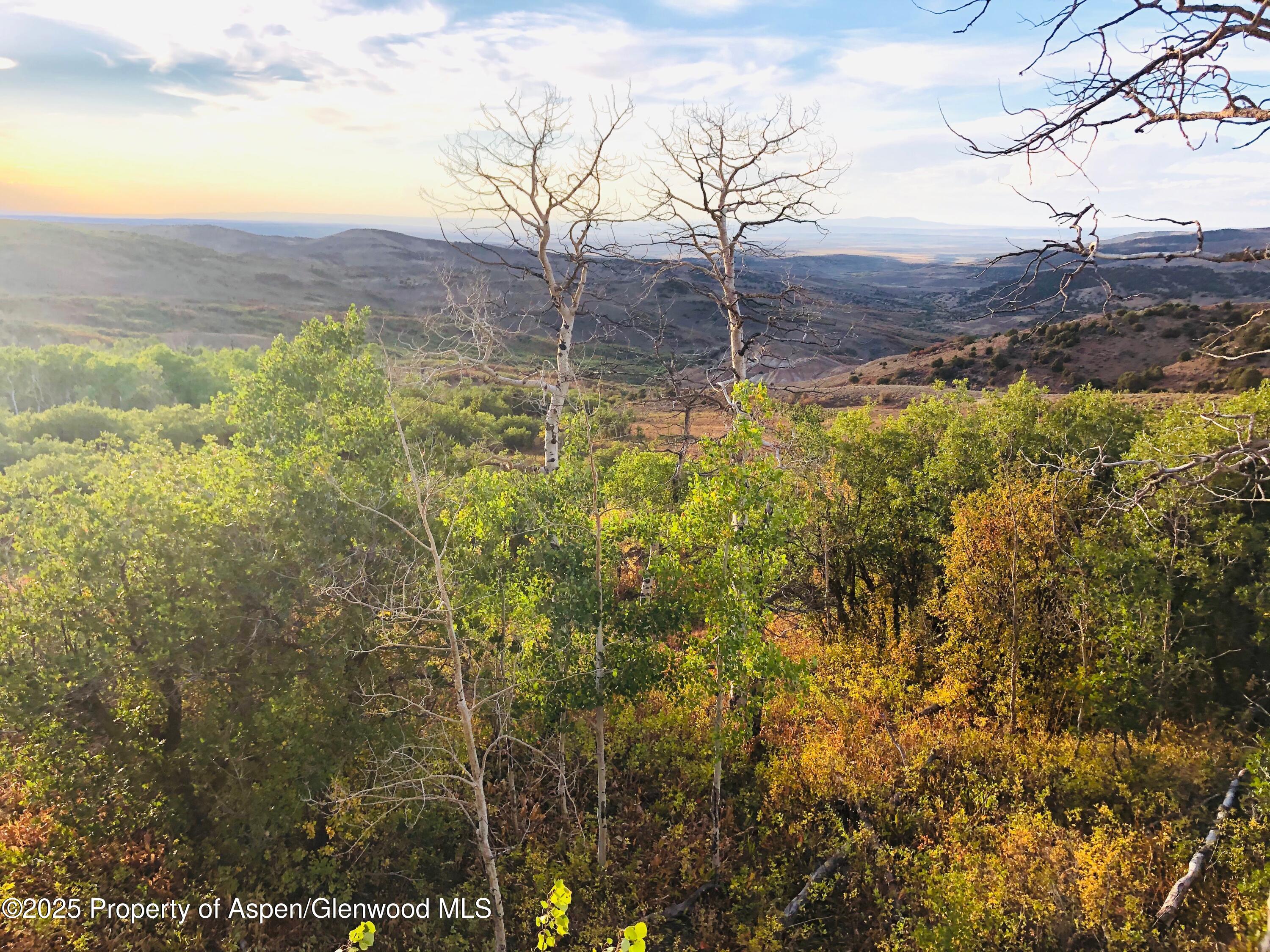 814 Fiddleneck Drive Craig CO 81625