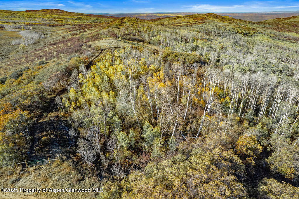 814 Fiddleneck Drive Craig CO 81625