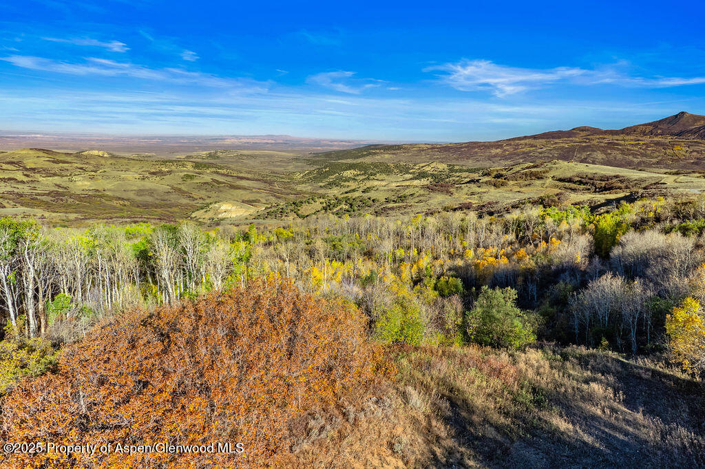 814 Fiddleneck Drive Craig CO 81625