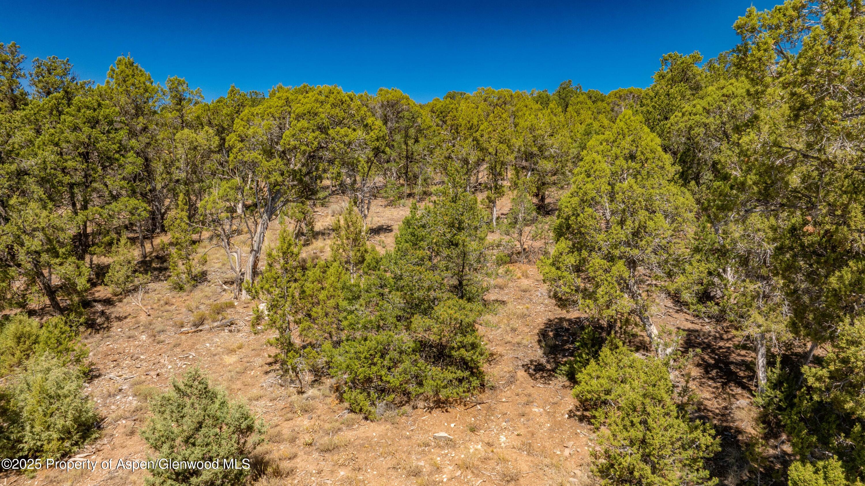 3292 Elk Springs Drive Glenwood Springs CO 81601