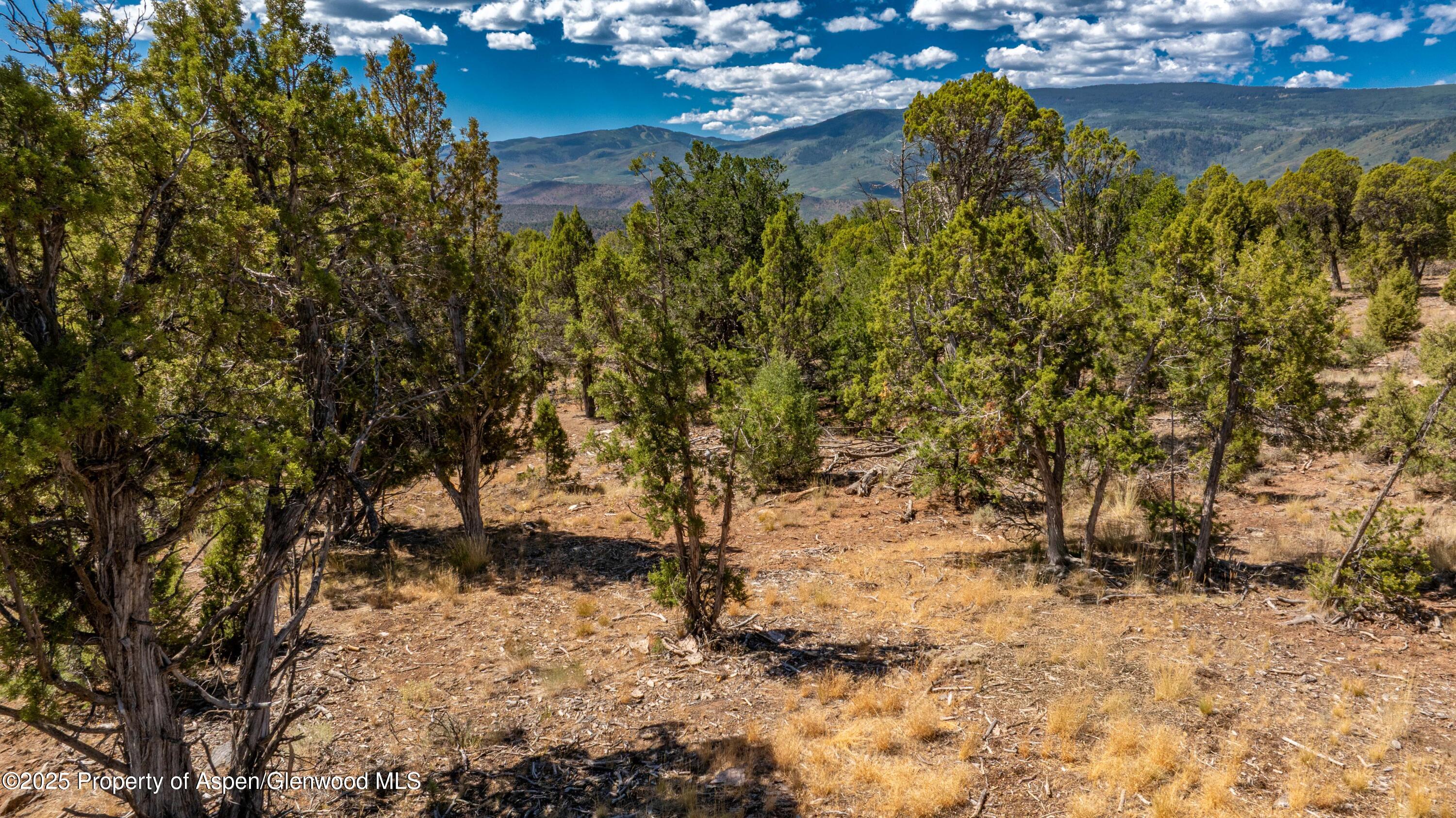 3292 Elk Springs Drive Glenwood Springs CO 81601