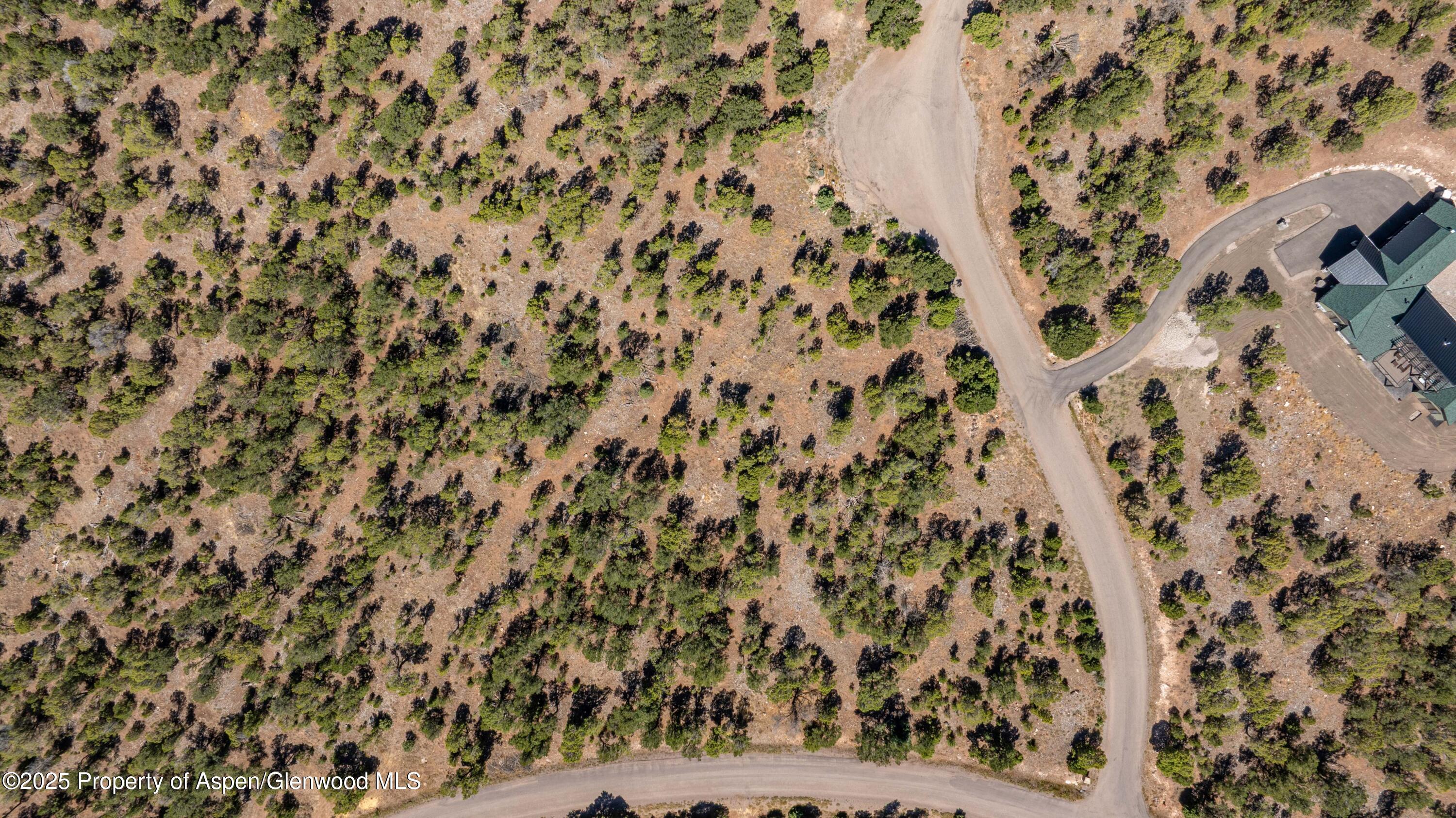 3292 Elk Springs Drive Glenwood Springs CO 81601