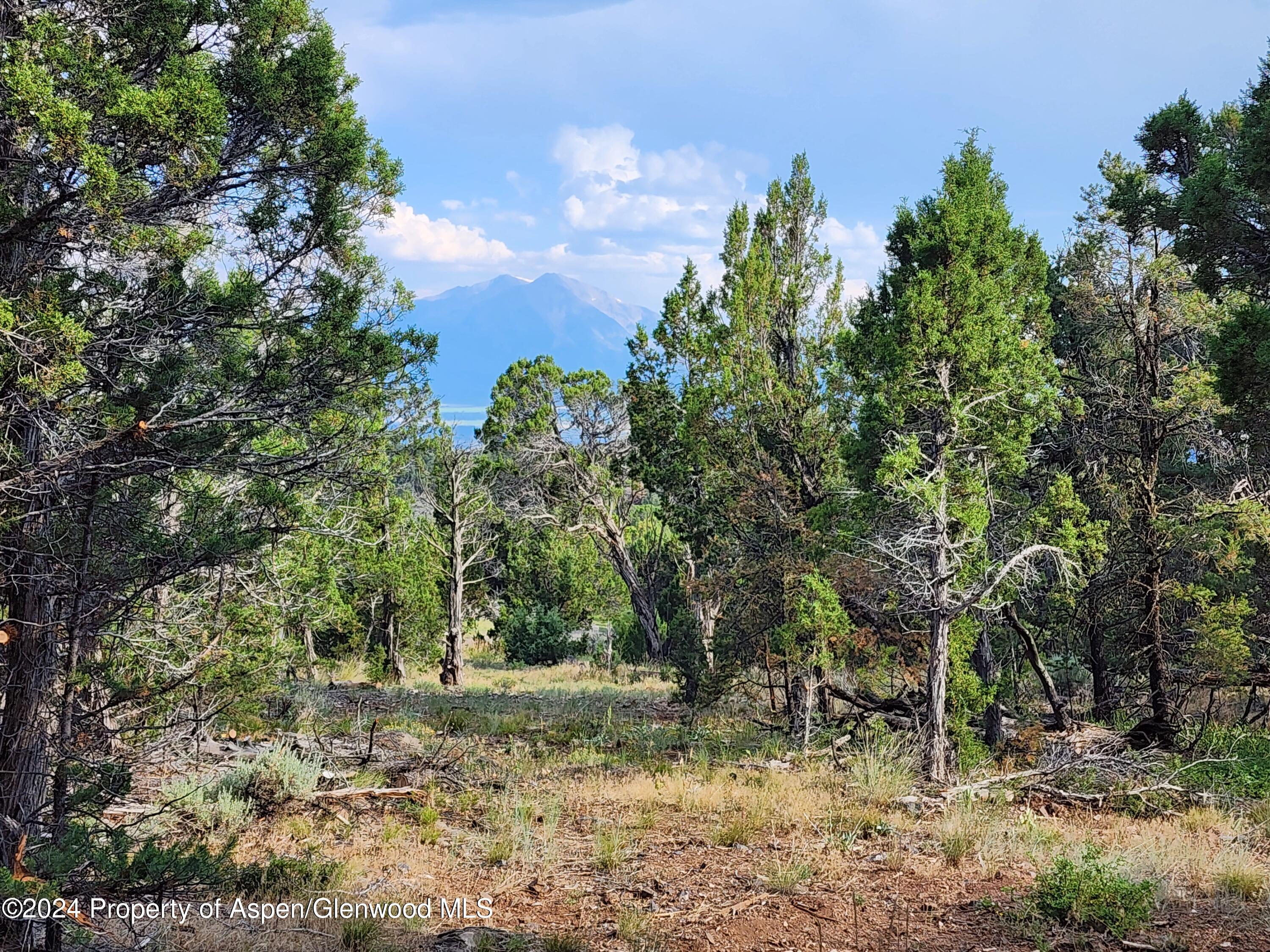 3292 Elk Springs Drive Glenwood Springs CO 81601