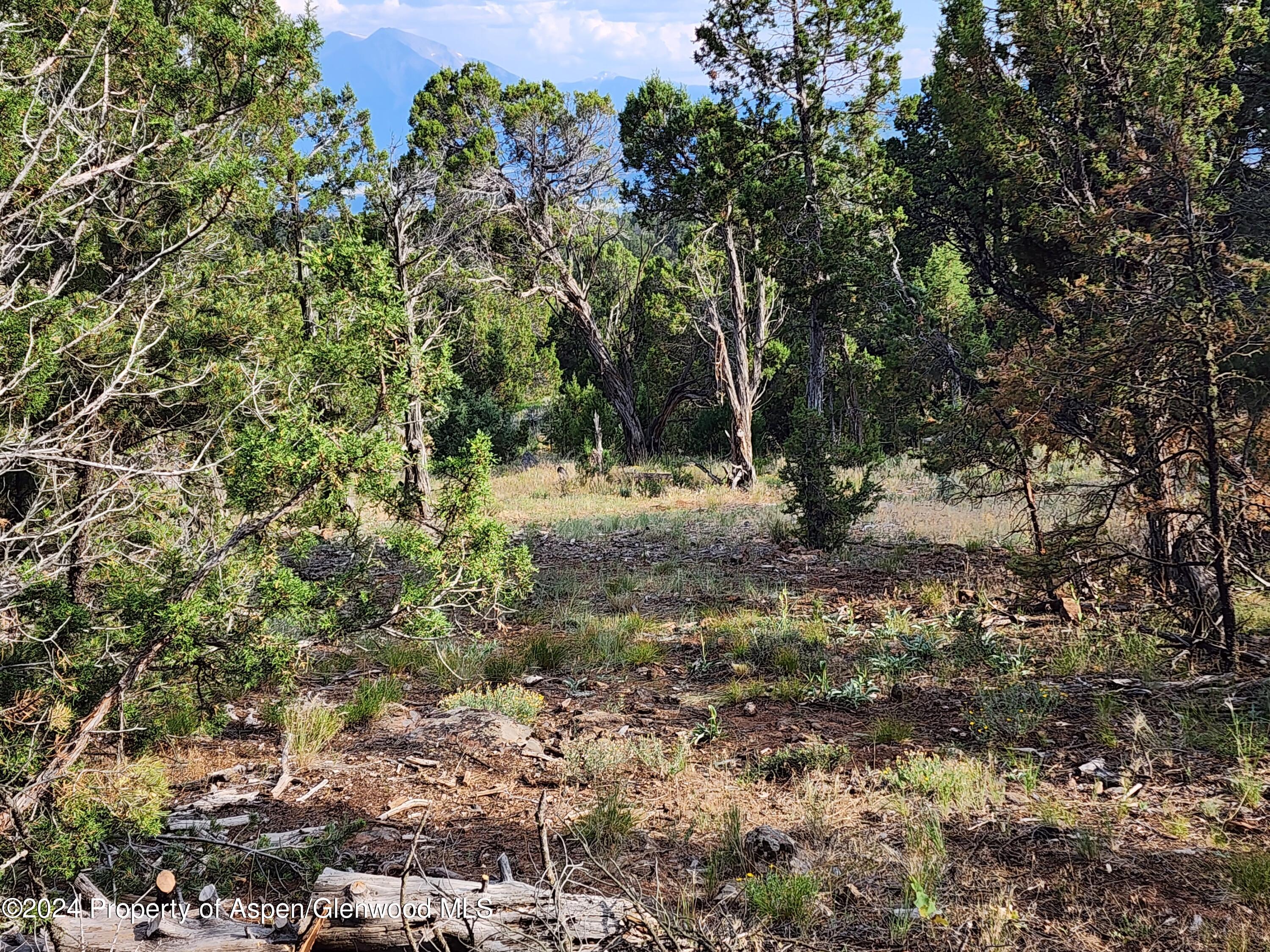 3292 Elk Springs Drive Glenwood Springs CO 81601