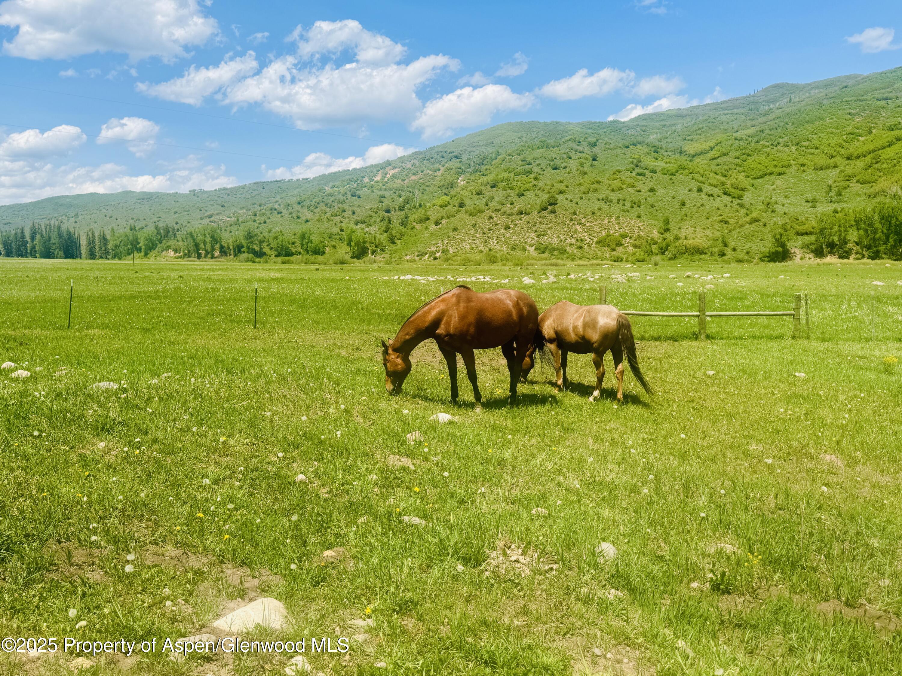 3915 County Road 10 Meeker CO 81641