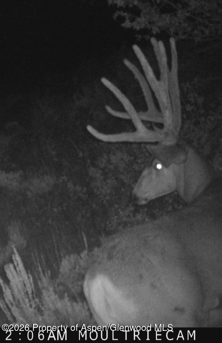 910 Slater Way Road Craig CO 81625