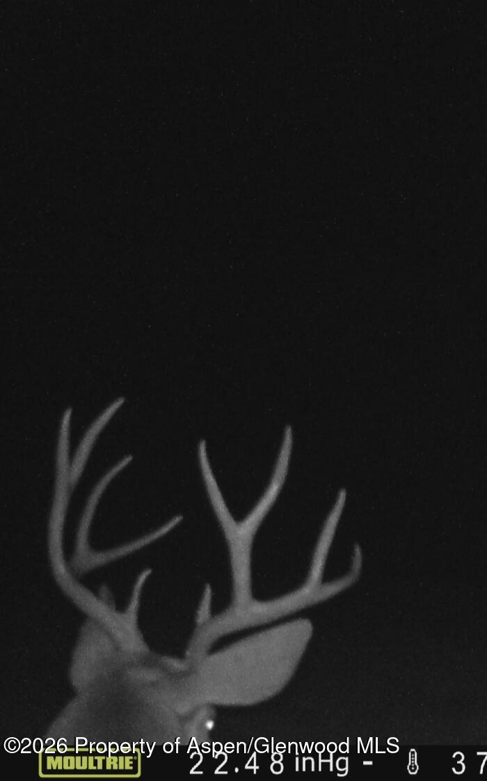 910 Slater Way Road Craig CO 81625
