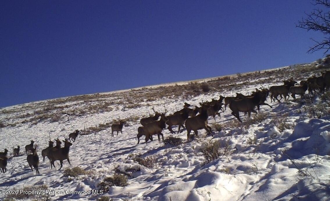 910 Slater Way Road Craig CO 81625