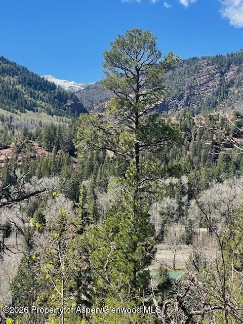 250 East Creek Road Redstone CO 81623