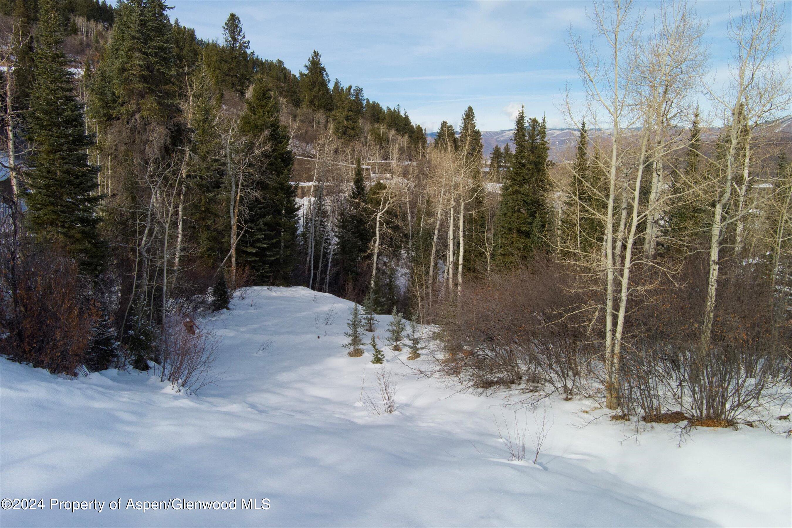 Tbd Pfister Drive Aspen CO 81611