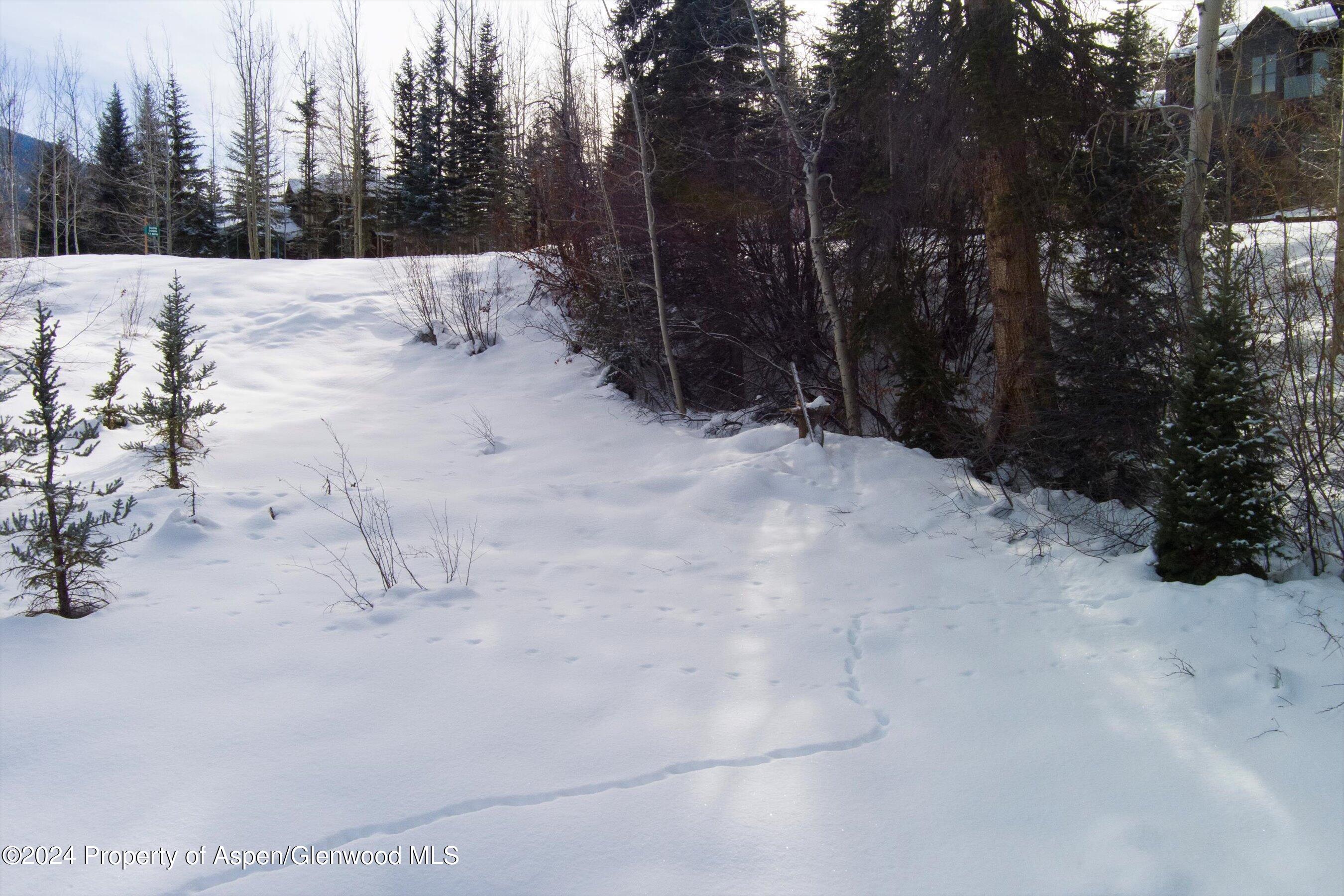 Tbd Pfister Drive Aspen CO 81611