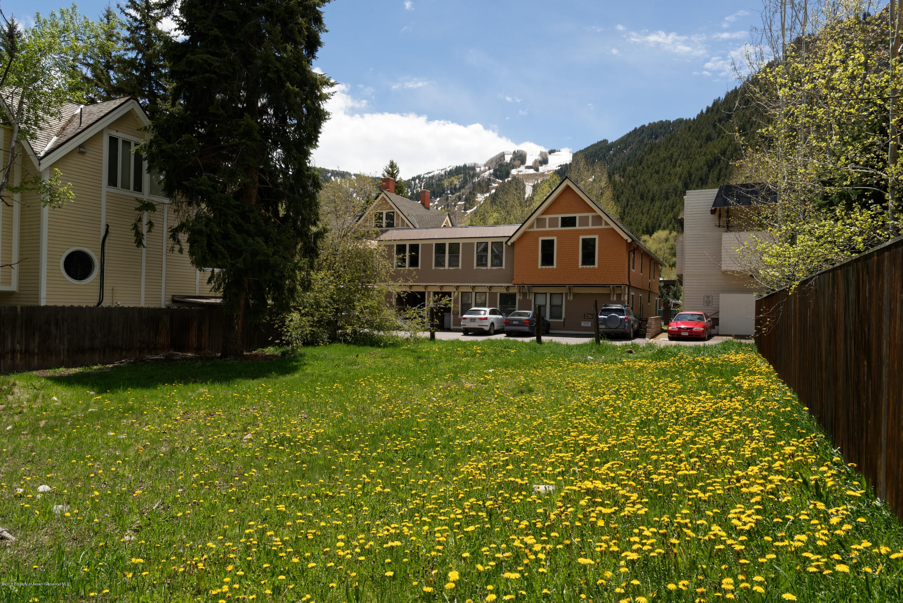 433 W Bleeker Street Aspen CO 81611