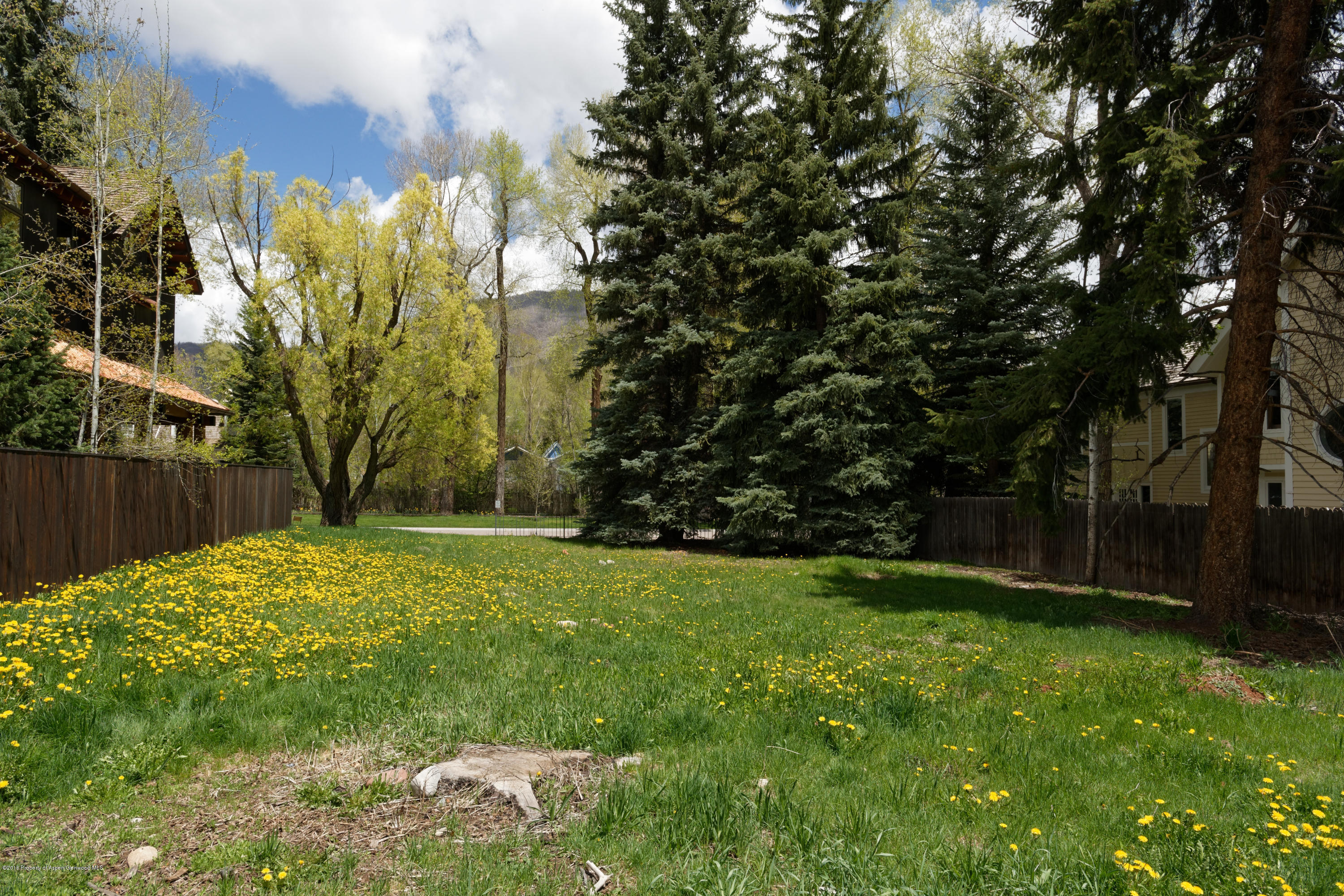 433 W Bleeker Street Aspen CO 81611