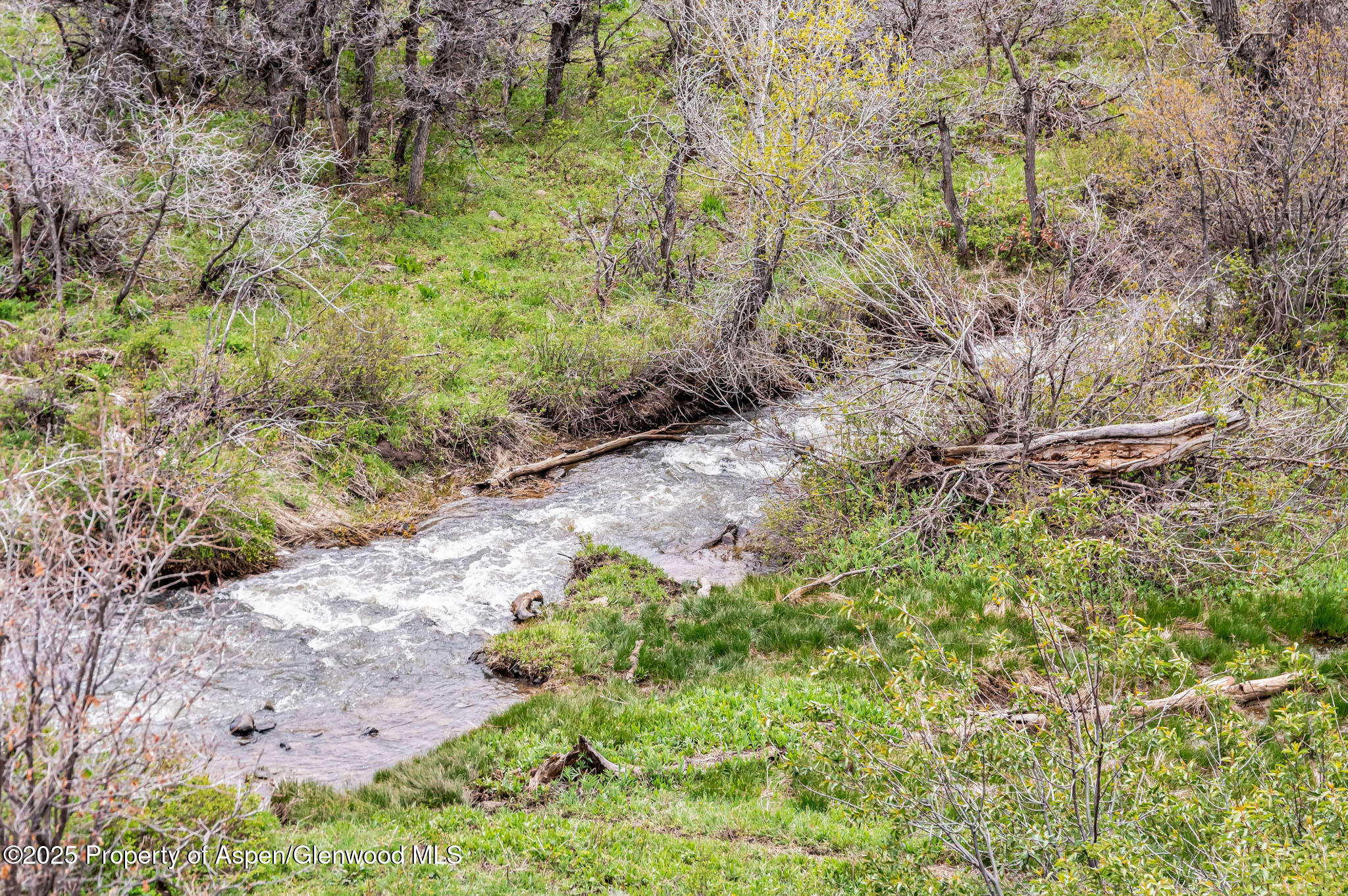 Tbd County Road 80 Hayden CO 81639