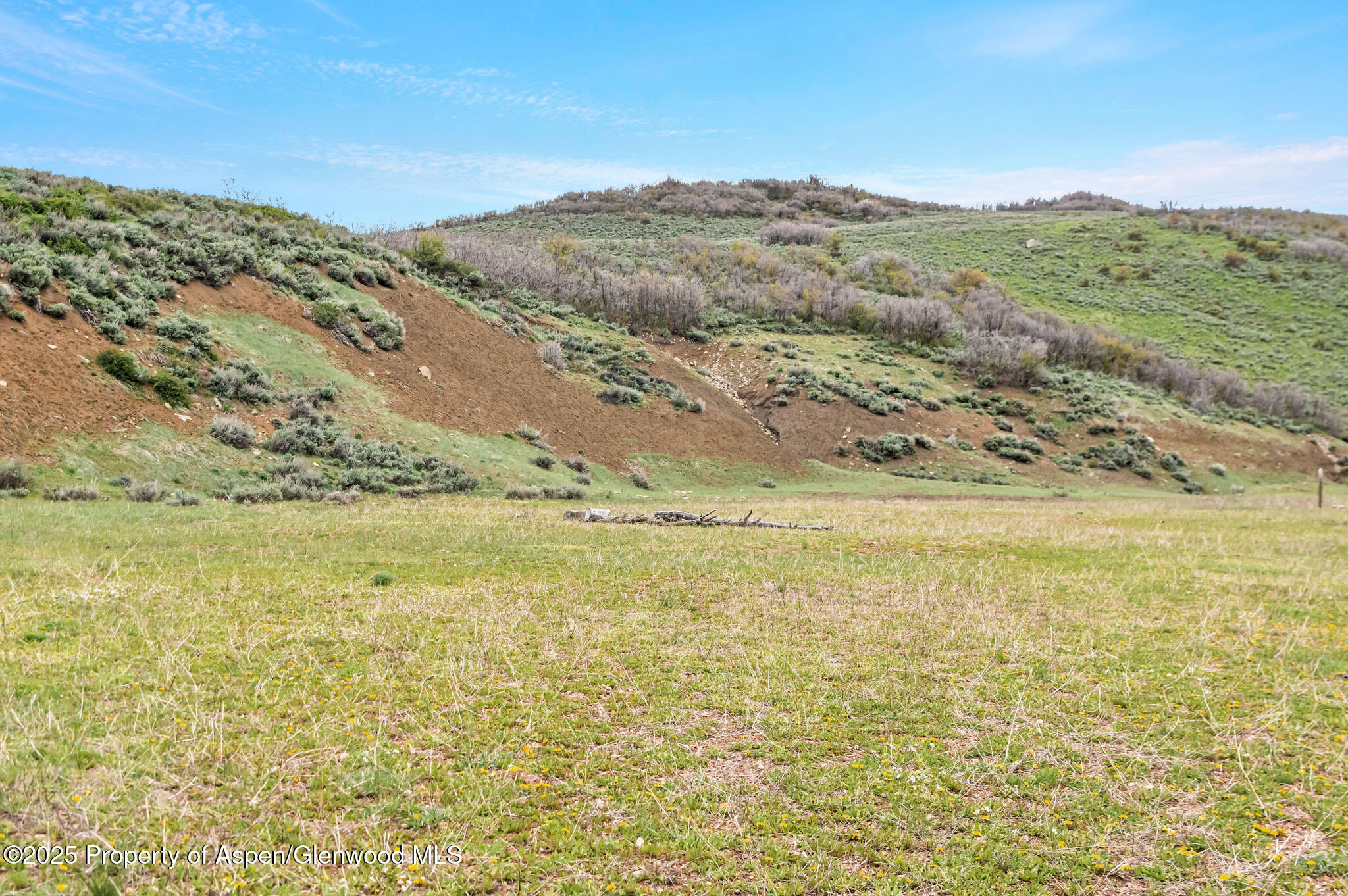 Tbd County Road 80 Hayden CO 81639