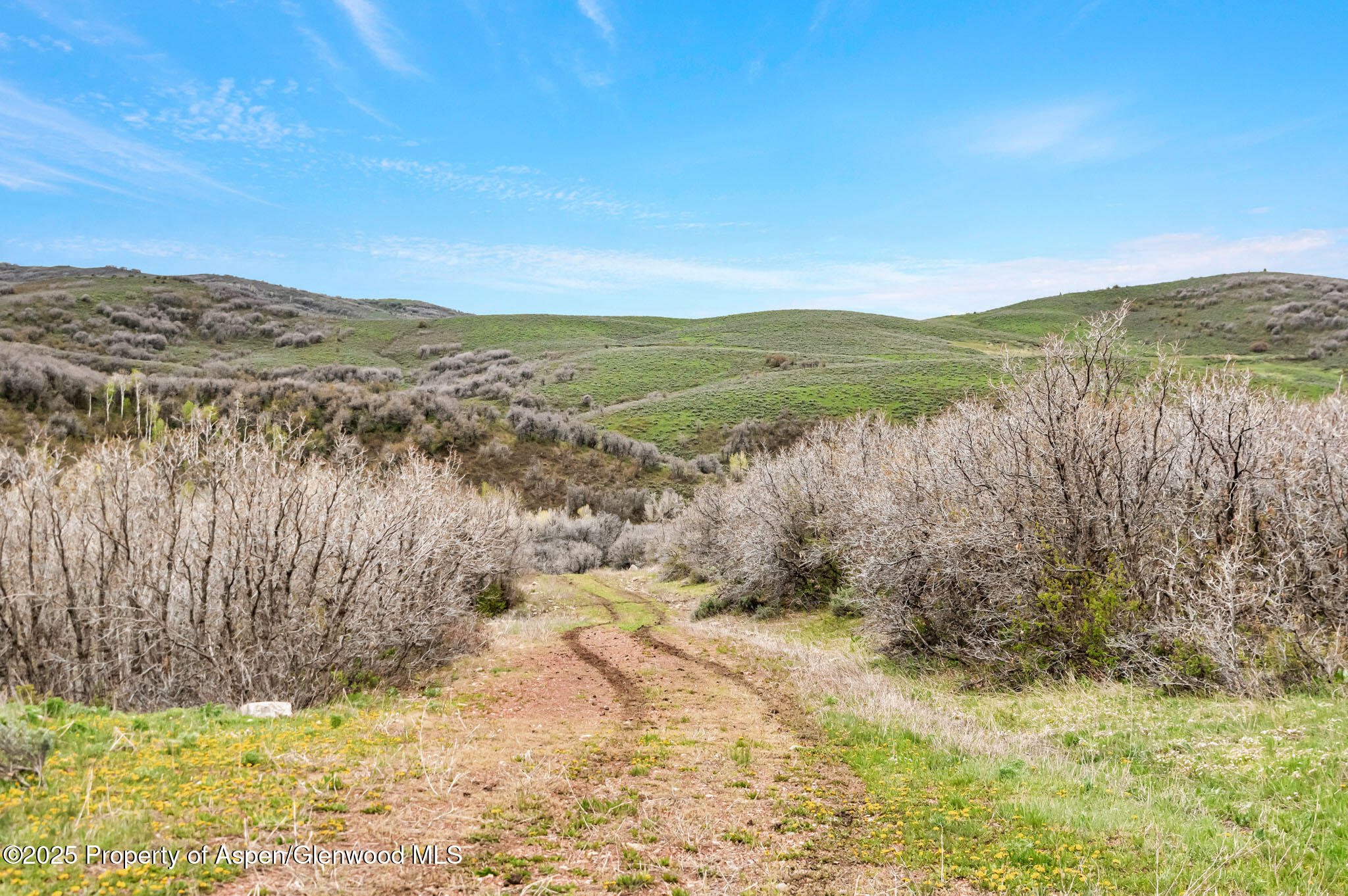 Tbd County Road 80 Hayden CO 81639