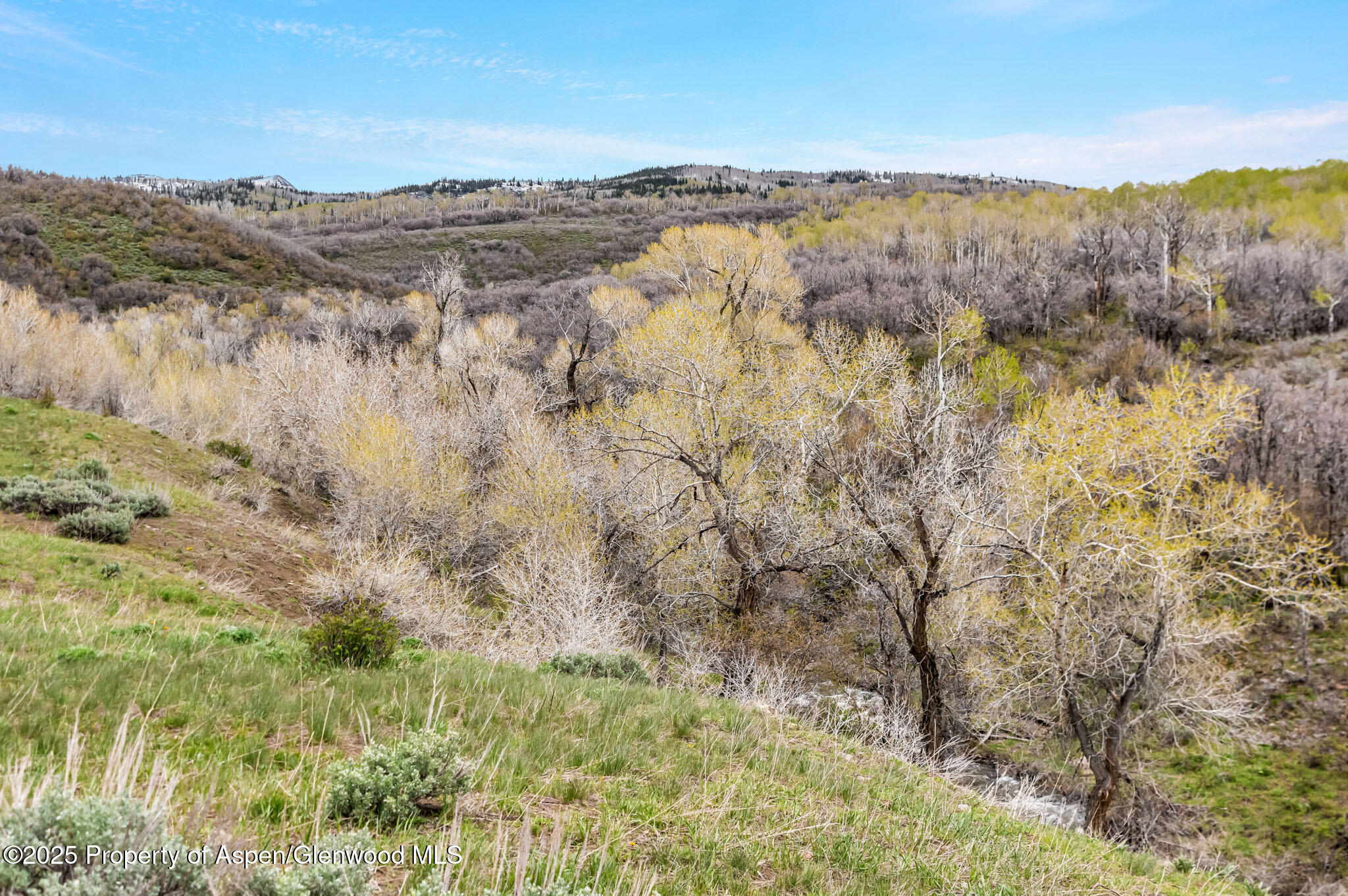 Tbd County Road 80 Hayden CO 81639