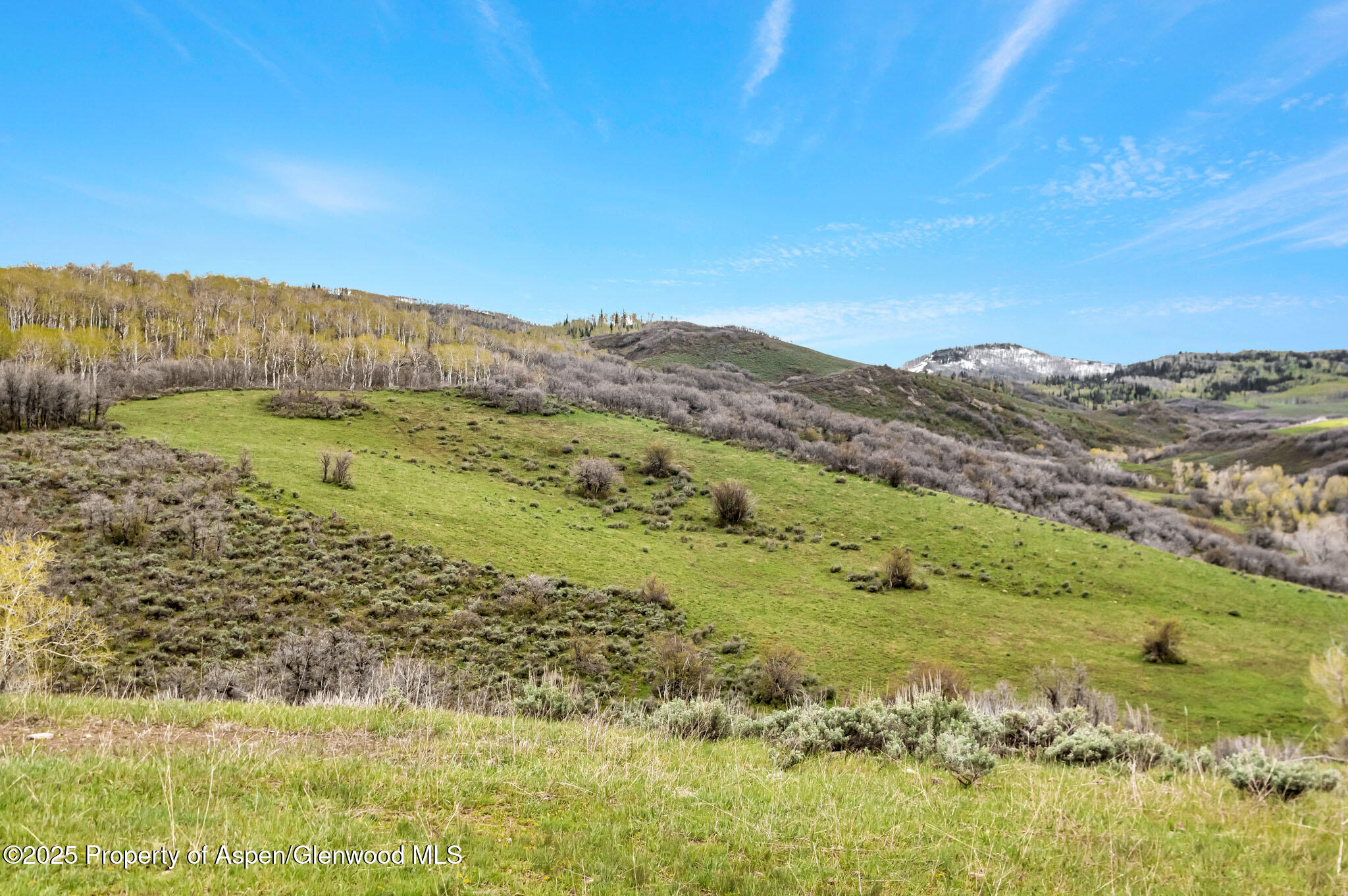 Tbd County Road 80 Hayden CO 81639