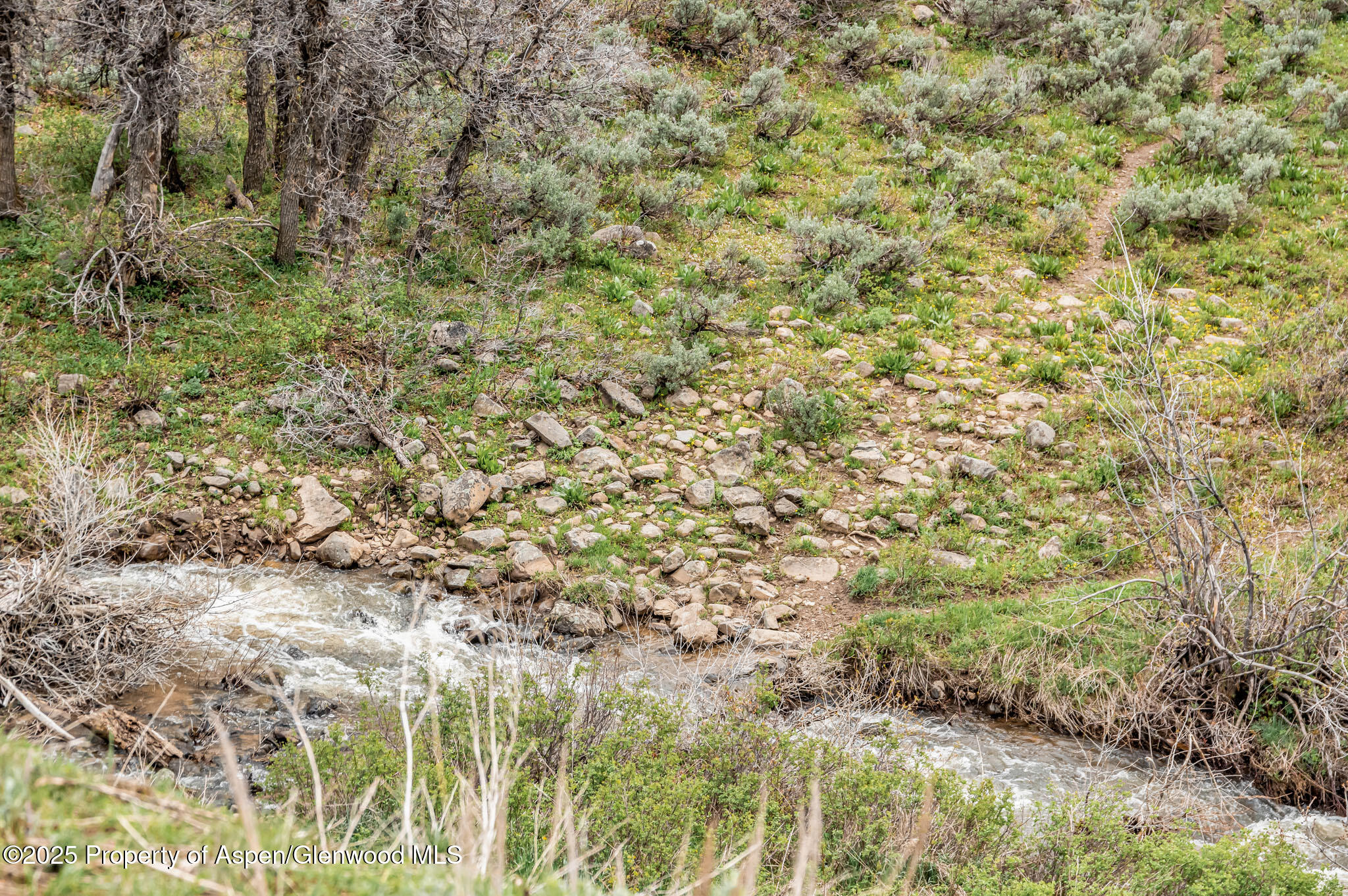 Tbd County Road 80 Hayden CO 81639