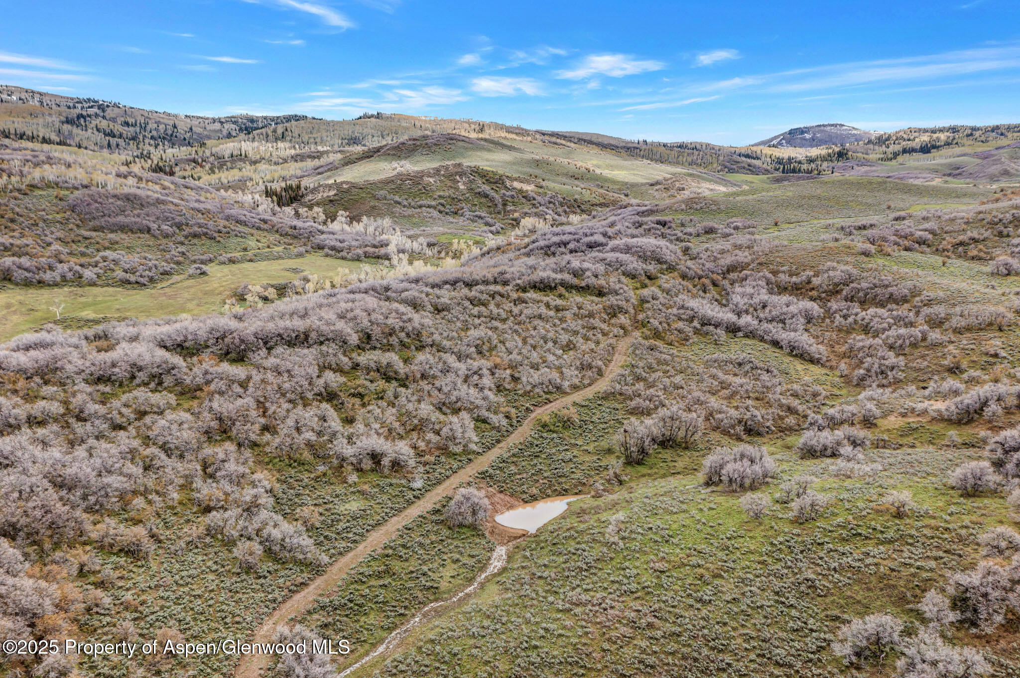 Tbd County Road 80 Hayden CO 81639