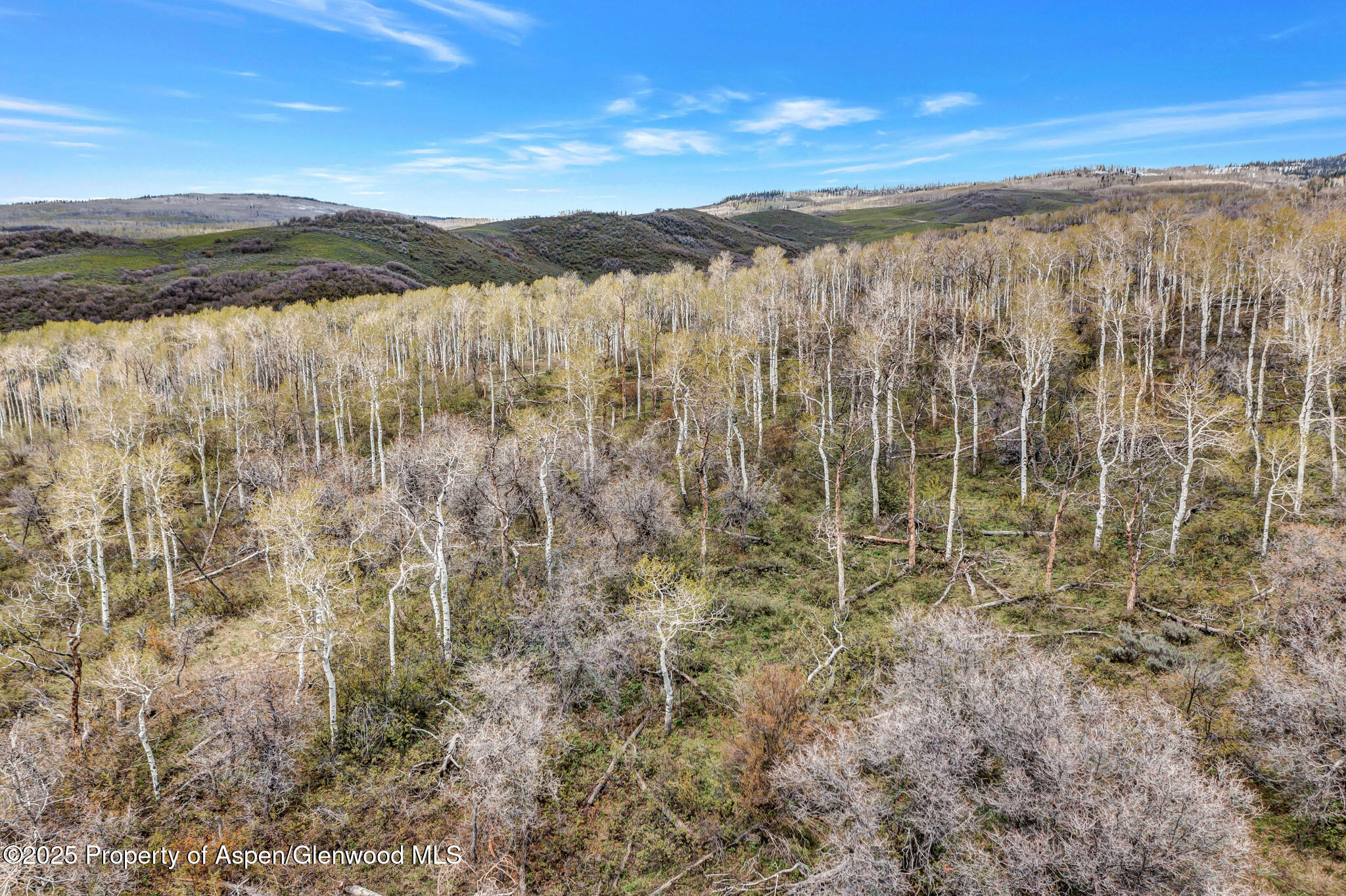 Tbd County Road 80 Hayden CO 81639