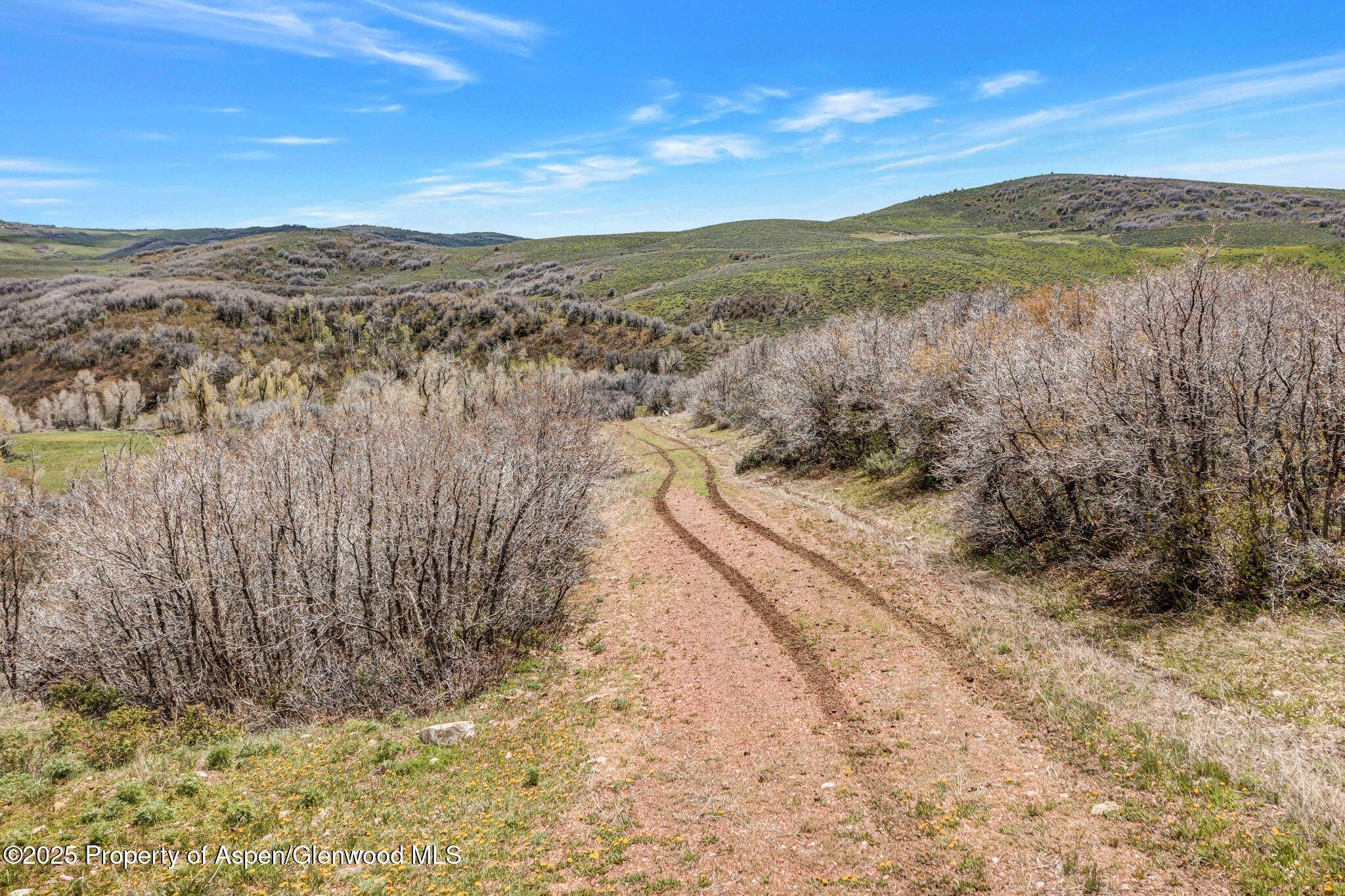Tbd County Road 80 Hayden CO 81639