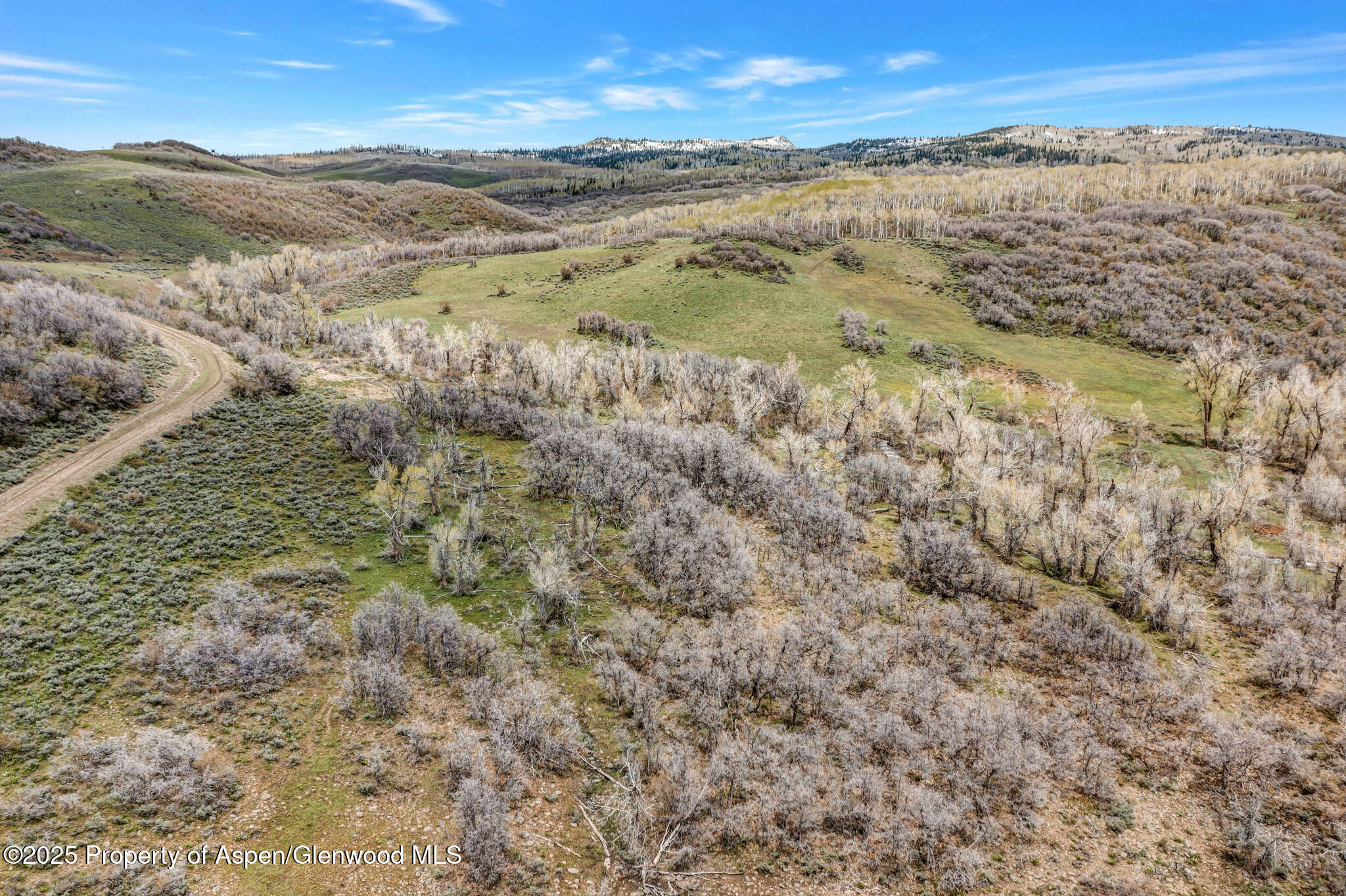 Tbd County Road 80 Hayden CO 81639