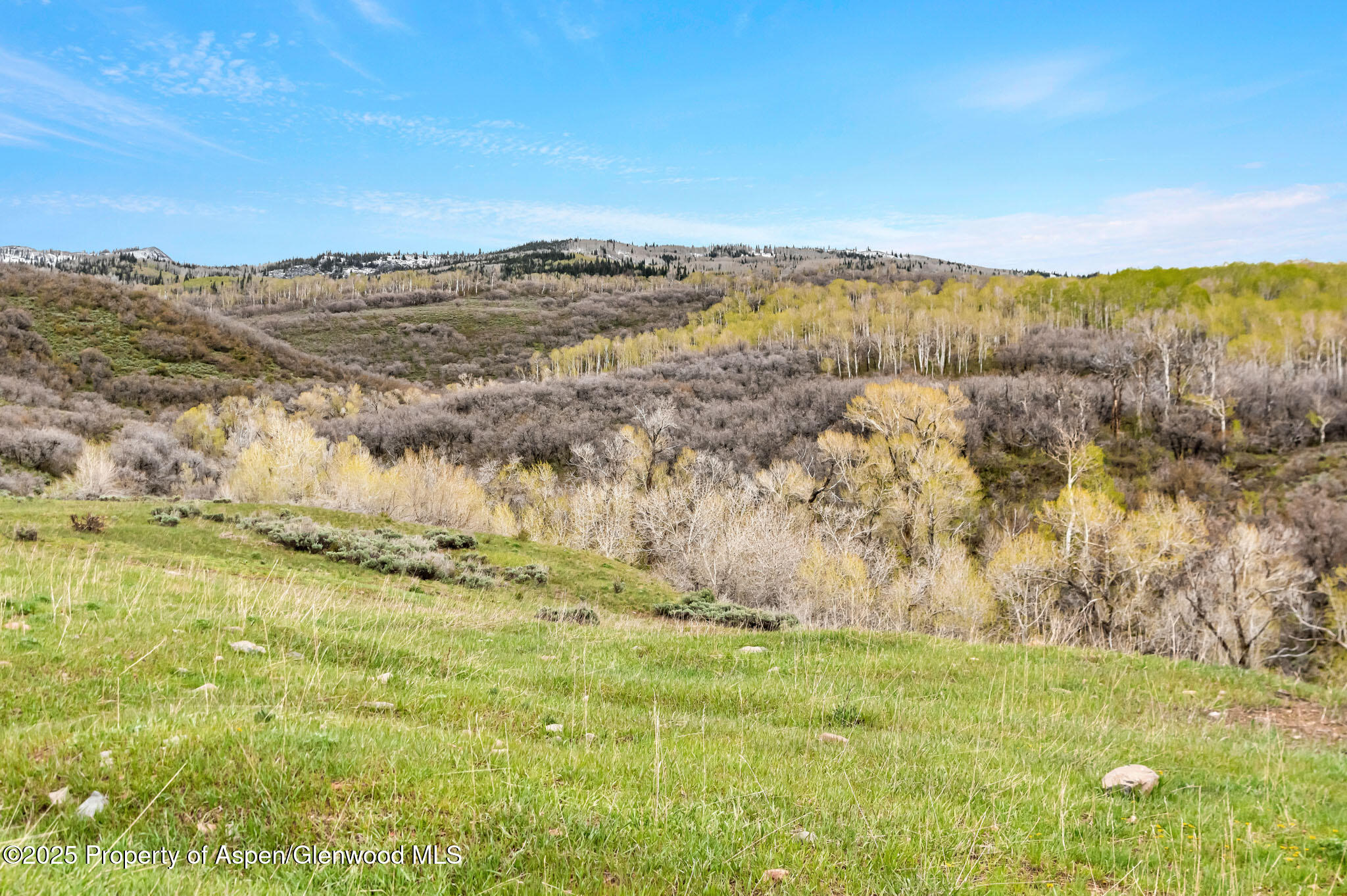 Tbd County Road 80 Hayden CO 81639