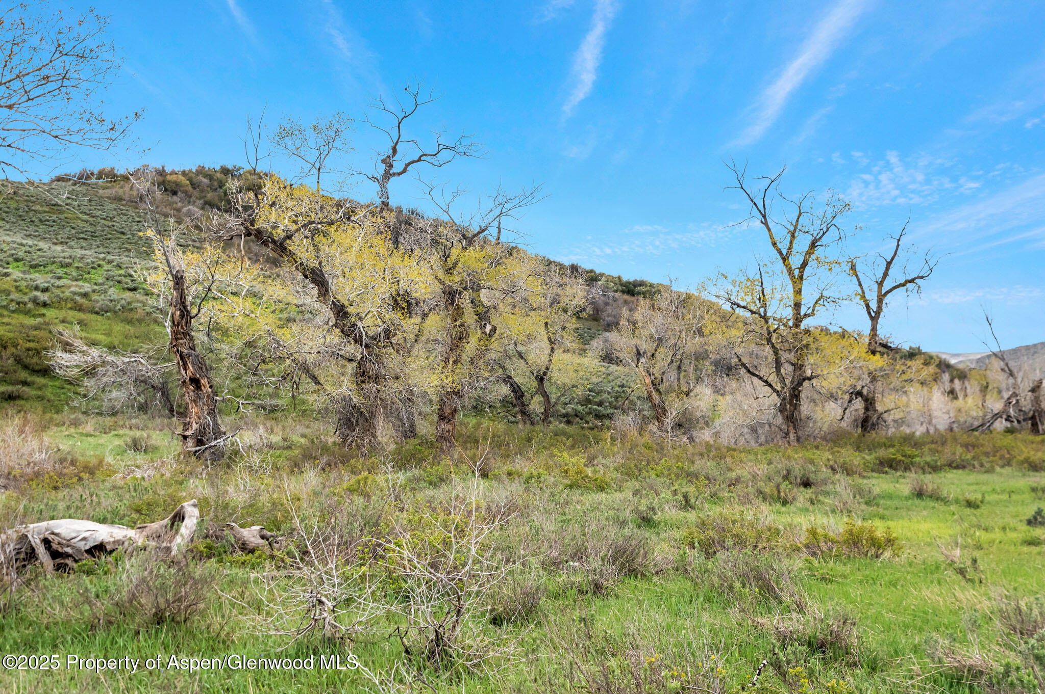 Tbd County Road 80 Hayden CO 81639